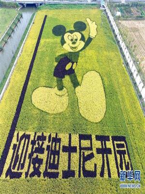 “米老鼠”稻田画迎接迪士尼落户上海
