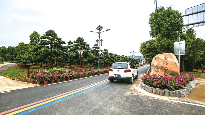 抓党建促乡村振兴的浏阳实践丨柏加镇渡头村：支部建在产业上，“一院一景”绽放致富梦想